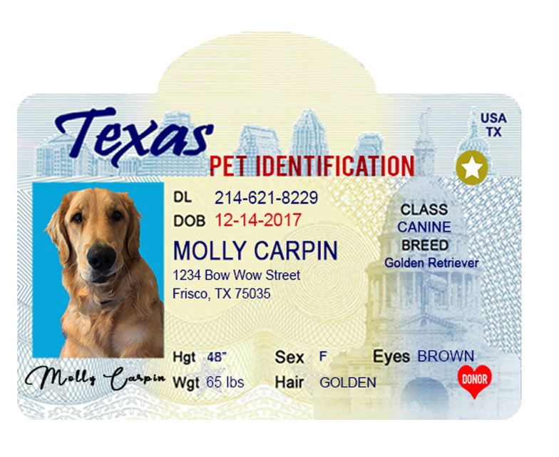 License Pet Tag Twisted 8 Designs